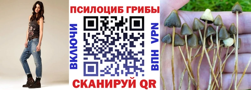Псилоцибиновые грибы GOLDEN TEACHER  Балахна 